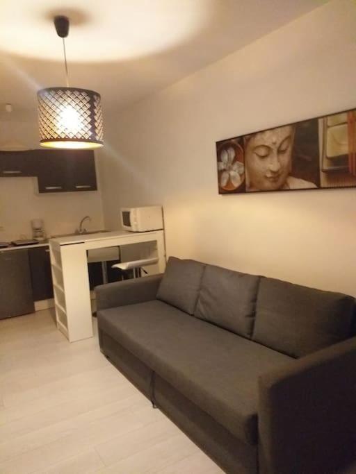 Studio Meuble Wifi A Proximite Du Tram Castelnau-le-Lez Exterior photo